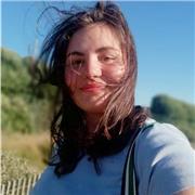 Doy clases de tutoría de acuerdo a las necesidades de los alumnos.  Me siento particularmente cómodo en inglés y francés.  También me siento cómodo con la historia del arte y el dibujo.